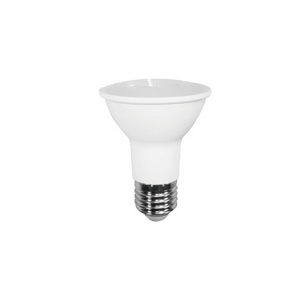 LED Bulb PAR20