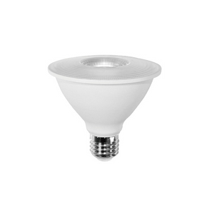 LED Bulb PAR30