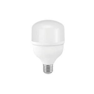 LED Bulb T70